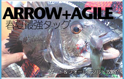 ソルト攻略.jpg