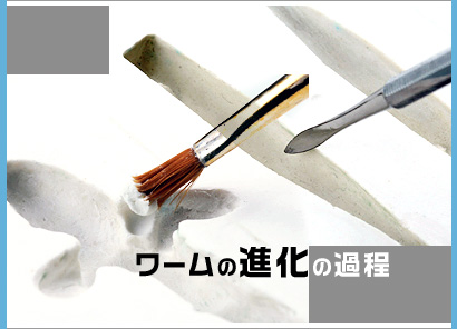 shinka.jpg